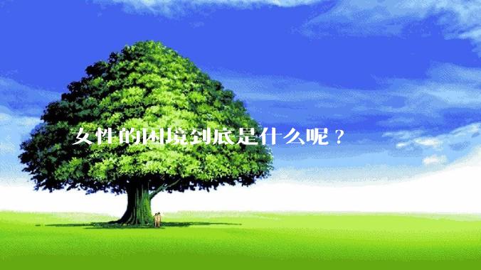 女性的困境到底是什么呢?